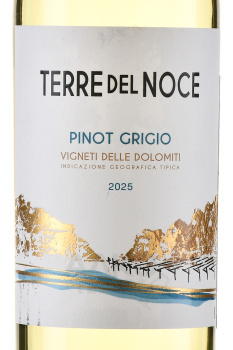 Mezzacorona Terre del Noce Pinot Grigio - вино Терре дель Ноче Пино Гриджио 0.75 л белое сухое