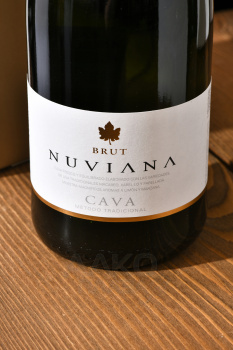 Nuviana Brut Cava - игристое вино Кава Нувиана Брют 0.75 л белое брют в п/у