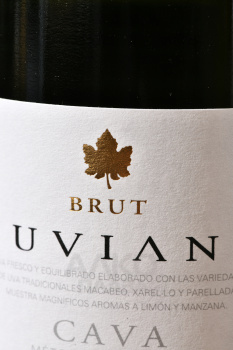 Nuviana Brut Cava - игристое вино Кава Нувиана Брют 0.75 л белое брют в п/у