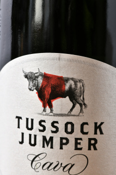 Tussock Jumper Cava Reserva - испанское вино игристое Тассок Джампер Кава Резерва ДО 0.75 л белое брют