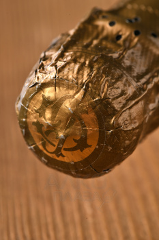 Gramona Corpinnat Innoble Brut Nature - вино игристое Грамона Корпиннат Иннобле Брют Натюр 0.75 л белое экстра брют