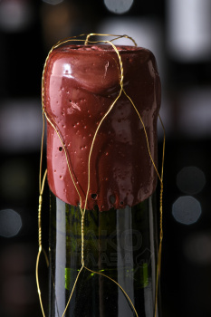 Vina Tondonia Gran Reserva Rioja DOCa - вино Винья Тондония Гран Резерва ДОКа Риоха 2004 год 0.75 л красное сухое