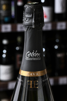 Cava Ferriol - вино игристое Кава Ферриоль 0.75 л белое брют