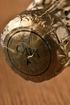Reyes De Aragon Cava Imperial - вино игристое Кава Рейес Де Арагон Кава Империаль 0.75 л белое брют