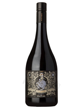 Kaiken Aventura Malbec Valle de Canota - вино Кайкен Авентура Мальбек Валле де Канота 0.75 л красное сухое