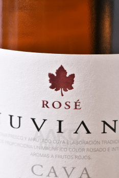Cava Nuviana Brut Rosado - игристое вино Кава Нувиана Брют Росадо 0.75 л розовое брют