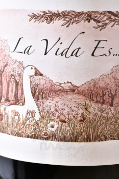 La Vida al Camp Cava Rose - игристое вино Ла Вида аль Камп Розе Кава 0.75 л