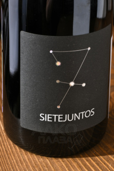 Sietejuntos Merlot - вино Сьетехунтос Мерло 0.75 л красное сухое