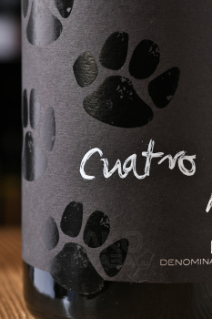 Cuatro Pasos Black Bierzo - вино Куатро Пасос Блэк Бьерсо 0.75 л красное сухое