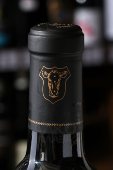 Son Mayol Grand Vin - вино Сон Майол Гранд Вин 0.75 л красное сухое