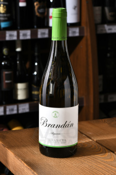 Brandan DO - вино Брандан ДО 0.75 л белое сухое