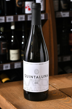Ossian Quintaluna - вино Оссиан Кинталуна 0.75 л белое сухое
