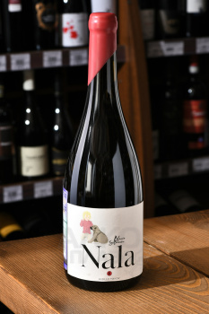 Nala Albillo Mayor Ribera del Duero - вино Нала Альбильо Майор Рибера дель Дуэро 0.75 л белое сухое