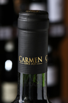 Carmen Gran Reserva Frida Kalho Carmenere DO - вино Кармен Гран Резерва Фрида Кало Карменер ДО 0.75 л красное сухое