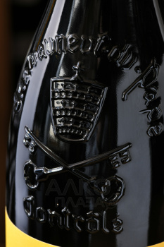 Chateau Maucoil Chateauneuf-du-Pape - вино Шато Мокуаль Шатонеф-дю-Пап 0.75 л красное сухое