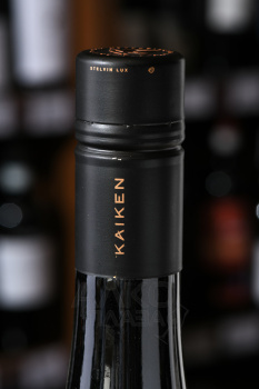 Kaiken Aventura Malbec Valle de Canota - вино Кайкен Авентура Мальбек Валле де Канота 0.75 л красное сухое