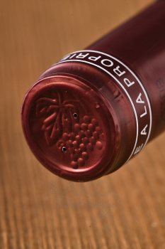 Vignerons de Bel Air Les Clochers Julienas - вино Виньерон де Бель Эр Ле Клоше Жюльена 0.75 л красное сухое