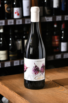 Camporignano Colori - вино Кампориньяно Колори 0.75 л красное сухое