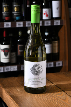 Waterkloof Seriously Cool Chenin Blanc - вино Вотэклуф Сириусли Кул Шенен Блан 0.75 л белое сухое