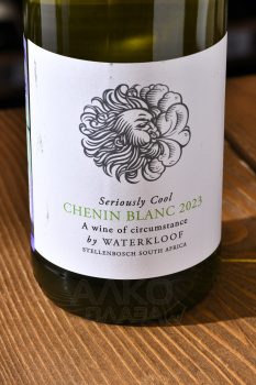 Waterkloof Seriously Cool Chenin Blanc - вино Вотэклуф Сириусли Кул Шенен Блан 0.75 л белое сухое