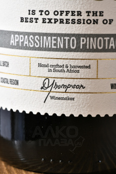 The Pledge Our Passion Appassimento Pinotage - вино Зе Пледж Ауа Пешн Аппассименто Пинотаж 0.75 л красное полусухое