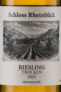 Schloss Rheinblick Riesling - вино Шлосс Райнблик Рислинг 0.75 л белое сухое