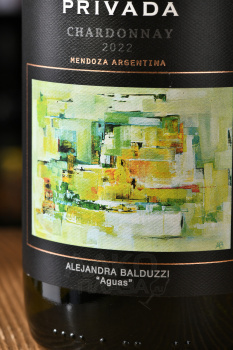 Coleccion Privada Chardonnay - вино Колексьон Привада Шардоне 0.75 л белое сухое