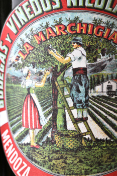 La Marchigiana Moscatel - вино Ла Маркиджана Москатель 0.75 л розовое сухое