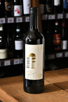 Arauco Carmenere DO - вино Арауко Карменер ДО 0.75 л красное сухое
