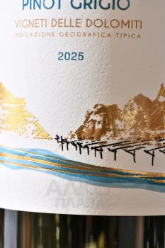 Mezzacorona Terre del Noce Pinot Grigio - вино Терре дель Ноче Пино Гриджио 0.75 л белое сухое