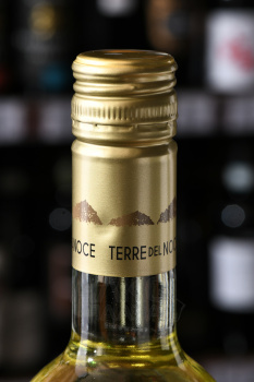 Mezzacorona Terre del Noce Pinot Grigio - вино Терре дель Ноче Пино Гриджио 0.75 л белое сухое