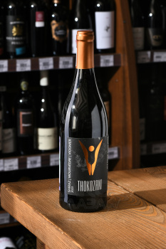 Thokozani Shiraz-Mourvedre-Viognier Wellington WO - вино Токозани Шираз-Мурведр-Вионье 0.75 л красное сухое