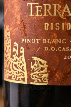 TerraNoble Disidente Pinot Blanc Chardonnay - вино ТерраНобле Дисиденте Пино Блан Шардоне 0.75 л белое сухое