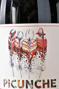Picunche Cabernet Sauvignon Central Valley - вино Пикунче Каберне Совиньон Сентраль Валье 0.75 л красное сухое