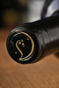Dogma Marselan Carmenere Reserva Especial - вино Догма Марселан-Карменер Ресерва Эспесьяль 0.75 л красное сухое