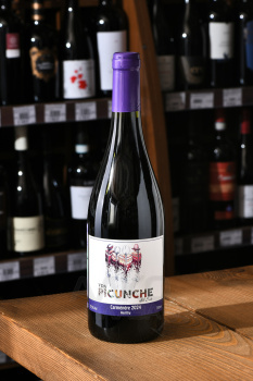 Picunche Carmenere Central Valley - вино Пикунче Карменер Сентраль Валье 0.75 л красное сухое