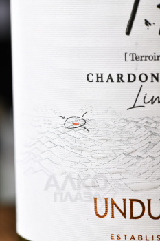 Undurraga Terroir Hunter Limari Chardonnay - вино Ундуррага Терруар Хантер Лимари Шардоне 0.75 л белое сухое