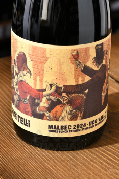 Matias Riccitelli The Party Malbec Uco Valley - вино Матиас Ричителли Зе Пати Мальбек Уко Вэлли 0.75 л красное сухое