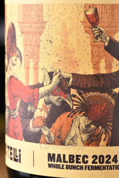 Matias Riccitelli The Party Malbec Uco Valley - вино Матиас Ричителли Зе Пати Мальбек Уко Вэлли 0.75 л красное сухое