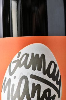 Damien Coquelet Gamay Mignon - вино Дамьен Кокле Гаме Миньон 0.75 л красное сухое
