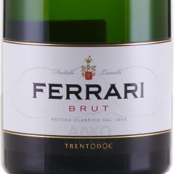 Trento DOC Ferrari - вино игристое Тренто ДОК Феррари 1.5 л белое брют