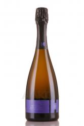 Weingut Heitlinger Blanc de Noir Brut Nature - вино игристое Вайнгут Хайтлингер Блан де Нуар Брют Натюр 0.75 л