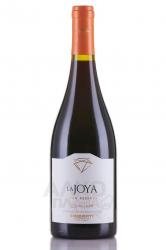 Bisquertt La Joya Gran Reserva Syrah Colchagua Valley - вино Бискерт Ла Хойа Гран Ресерва Сира 0.75 л красное сухое