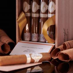 Davidoff Grand Cru Robusto - сигары Давидофф Гран Грю Робусто