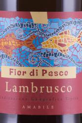 Fior di Pesco Lambrusco dell’Emilia - вино игристое Фьор ди Песко Ламбруско делль’Эмилия 0.75 л красное полусладкое