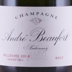 Andre Beaufort Ambonnay Grand Cru - шампанское Андре Бофор Амбонэ Гран Грю 0.75 л белое брют