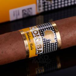 Cohiba Robustos - сигары Коиба Робустос в картонной упаковке