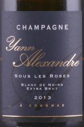 Champagne Yann Alexandre Sous les Roses Blanc de Noir Extra Brut - шампанское Янн Александр Су ле Роз Блан де Нуар Экстра Брют 0.75 л