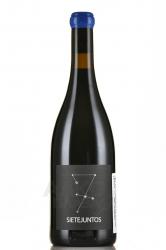 Sietejuntos Syrah - вино Сьетехунтос Сира 0.75 л красное сухое