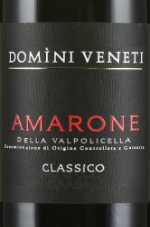 вино Domini Veneti Amarone della Valpolicella Classico 0.75 л этикетка